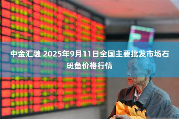 中金汇融 2025年9月11日全国主要批发市场石斑鱼价格行情