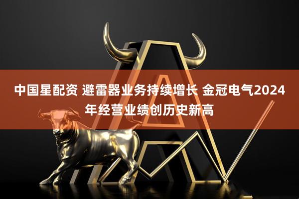 中国星配资 避雷器业务持续增长 金冠电气2024年经营业绩创历史新高