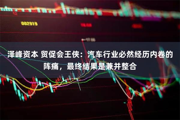 泽峰资本 贸促会王侠：汽车行业必然经历内卷的阵痛，最终结果是兼并整合