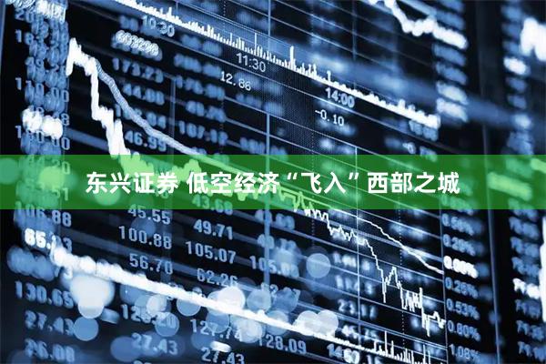 东兴证券 低空经济“飞入”西部之城