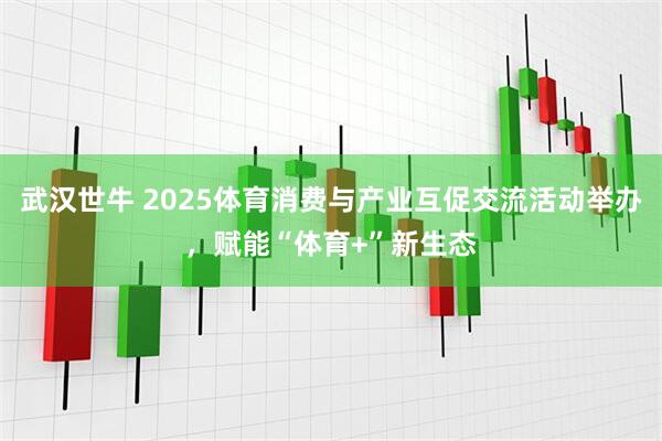 武汉世牛 2025体育消费与产业互促交流活动举办,赋能“体育+”新生态
