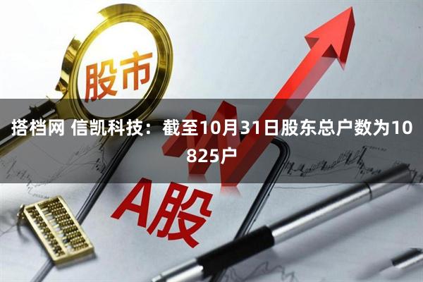 搭档网 信凯科技：截至10月31日股东总户数为10825户